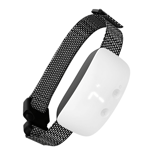 Petsboro Dog Training Collar