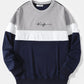 Mens Colorblock Panel Stitching Letter Embroidery Sweatshirt Preppy Two Pieces Outfits