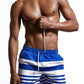 Men's Summer Hawaii Fashion Sports Shorts